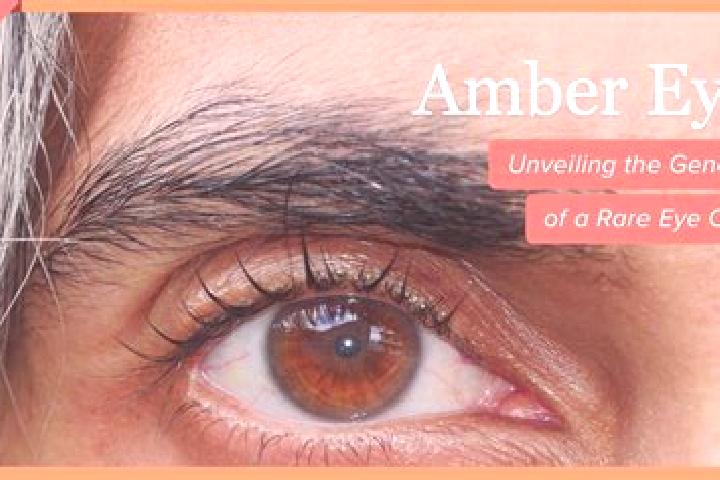 Penelope, 30, a red amber-eyed middle eastern companion based in Wrightstown. Offering Deep French Kissing, CIM, Overnight, BDSM, 69. Available for incall an...