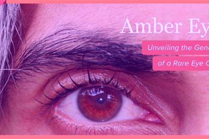 Penelope, 30, a red amber-eyed mixed companion based in San Miguel la Toma. Offering Dinner Date, BDSM, Fetish, Striptease, A-Level. Available for incall and...