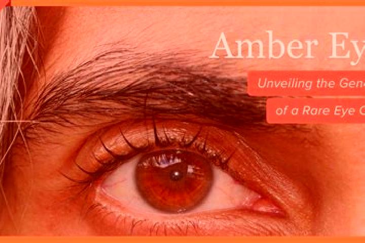 Penelope, 30, a red amber-eyed slavic companion based in Truong Son. Offering Duos, BDSM, GFE, A-Level. Available for incall and outcall, overnight bookings ...