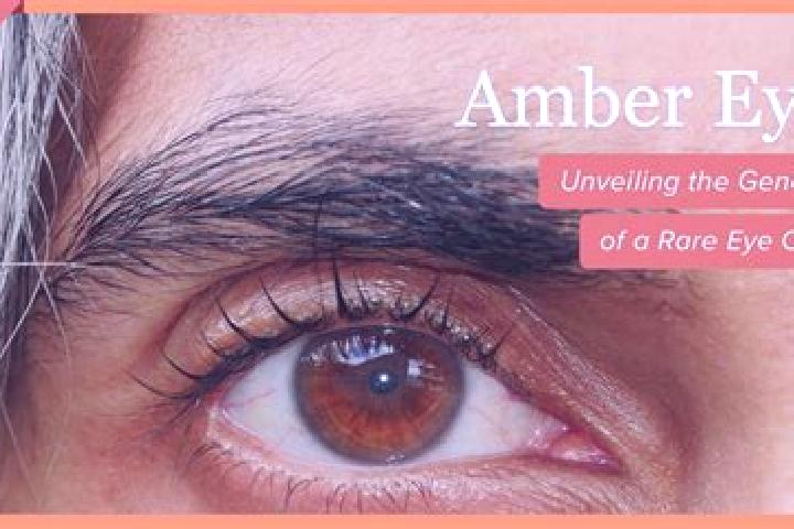 Penelope, 31, a black amber-eyed slavic companion based in San Nicolas Solis. Offering Fetish, 69, Deep French Kissing. Available for incall and outcall, day...