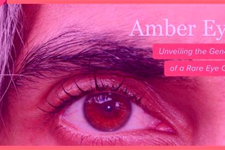 Penelope, 31, a red amber-eyed middle eastern companion based in Skuodas. Offering Erotic Massage, CIM, Fetish. Available for incall and outcall, overnight b...