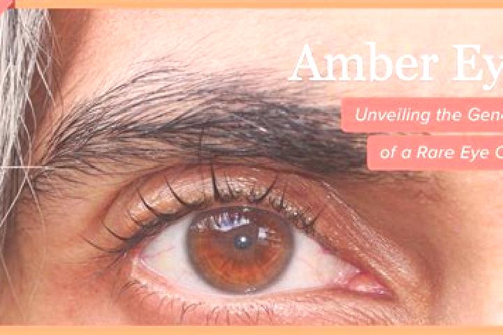 Penelope, 31, a red amber-eyed slavic companion based in Tasli Pinar Mahallesi. Offering 69, Travel Companion, Tantra, Duos, Deep French Kissing. Available f...