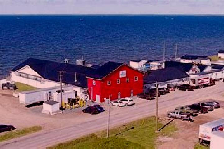 Penelope, 31 — Escort in Baie Ste. Anne, Canada