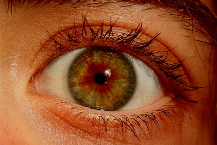 Penelope, 33, a red hazel-eyed indian companion based in Hasenmoor. Offering Tantra, 69, Couples. Available for incall and outcall, overnight bookings availa...