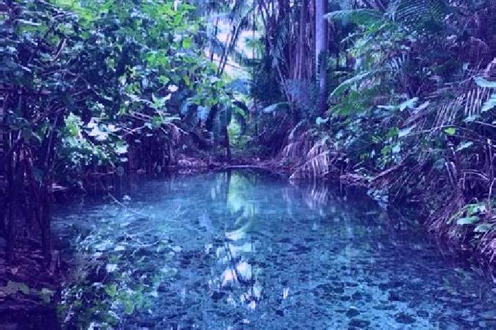 Penelope, 34, a black green-eyed caribbean companion based in Olho d Agua do Piaui. Offering Deep French Kissing, Massage, Erotic Massage, Duos. Available fo...