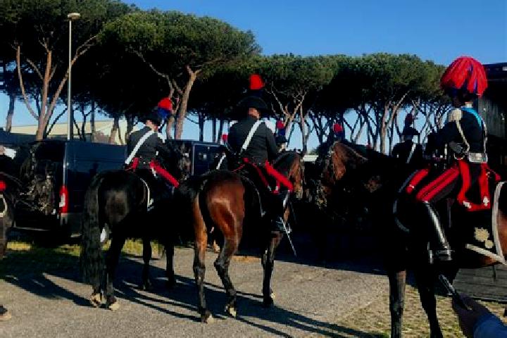 Penelope, 34 — Escort in Acilia-Castel Fusano-Ostia Antica, Italy