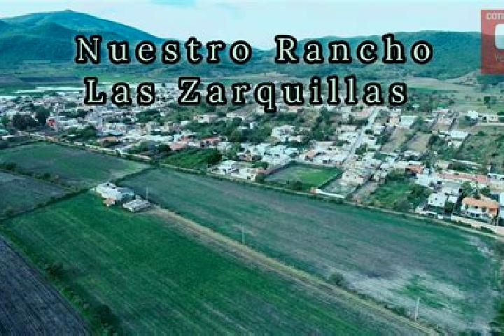 Penelope, 35 — Escort in Las Zarquillas, Mexico