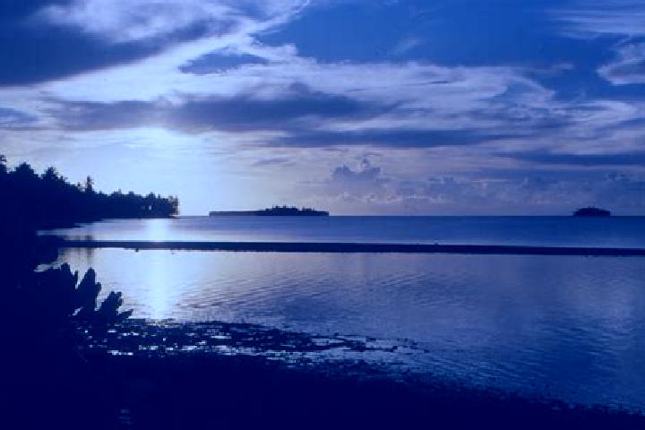 Penelope, 35 — Escort in Toga Village, Tuvalu