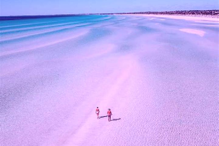 Penelope, 37 — Escort in Middleton Beach, Australia