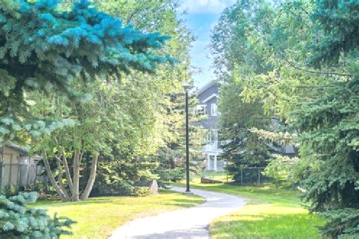 Penelope, 37 — Escort in Scenic Acres, Canada