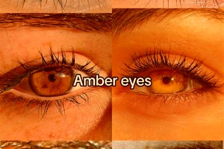 Penelope, 38, a chestnut amber-eyed european companion based in Saligram. Offering Girlfriend Experience, OWO, A-Level, Roleplay. Available for incall and ou...