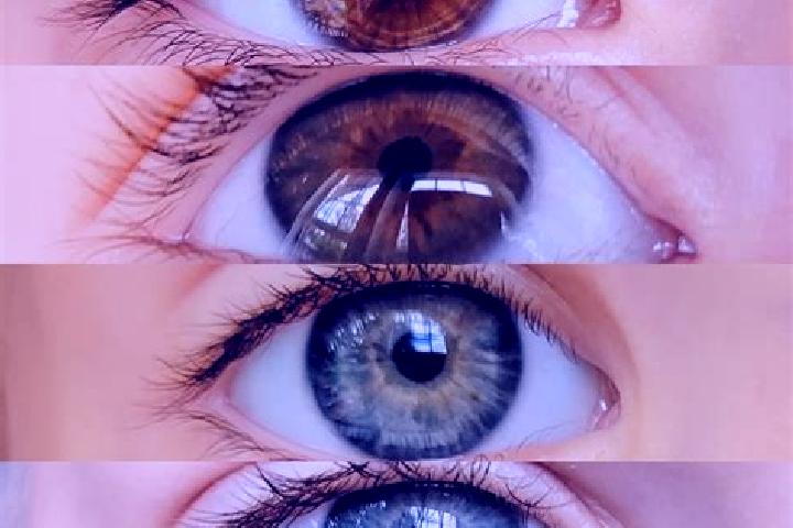 Penelope, 38, a chestnut grey-eyed middle eastern companion based in Bom Sucesso. Offering Overnight, A-Level, Fetish, GFE. Available for incall and outcall,...