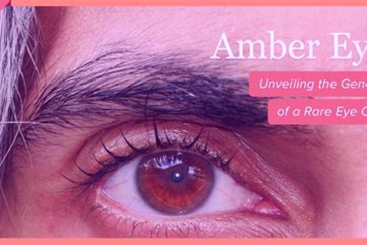 Penelope, 38, a red amber-eyed latina companion based in Kyshtym. Offering GFE, Domination, Couples. Available for incall and outcall, overnight bookings ava...