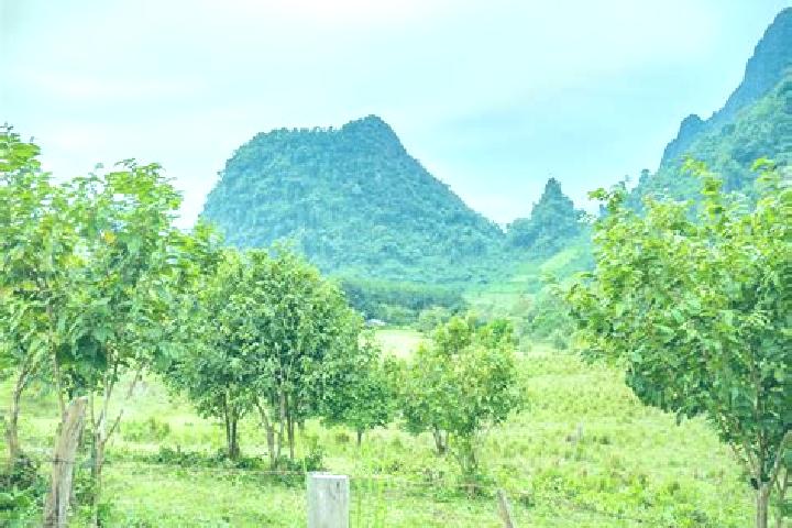 Penelope, 38 — Escort in Ban Xiang-Ngeun, Laos