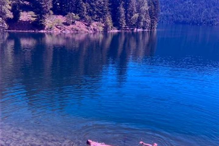 Penelope, 38 — Escort in Cle Elum, United States