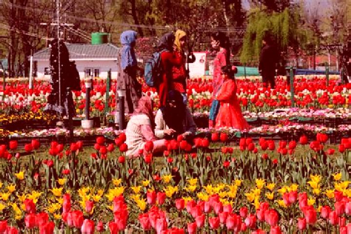 Penelope, 38 — Escort in Surkh Bilandi, Afghanistan