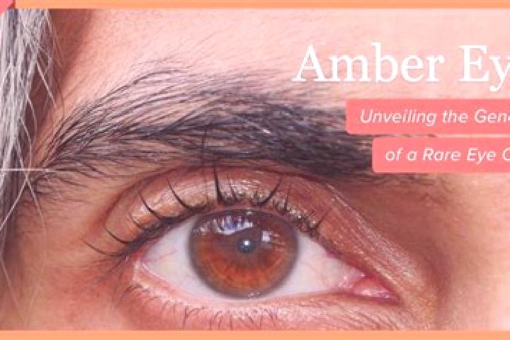 Penelope, 39, a red amber-eyed indian companion based in San Miguel Agua Bendita. Offering Fetish, Girlfriend Experience, 69. Available for incall and outcal...
