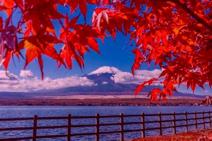 Penelope, 39 — Escort in Erimo, Japan
