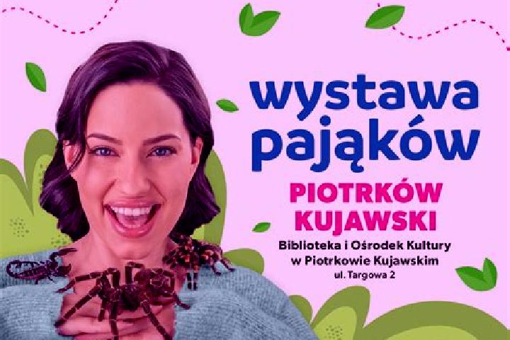 Penelope, 39 — Escort in Piotrkow Kujawski, Poland
