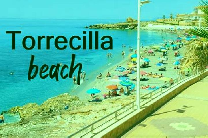 Penelope, 39 — Escort in Torrecilla de la Jara, Spain