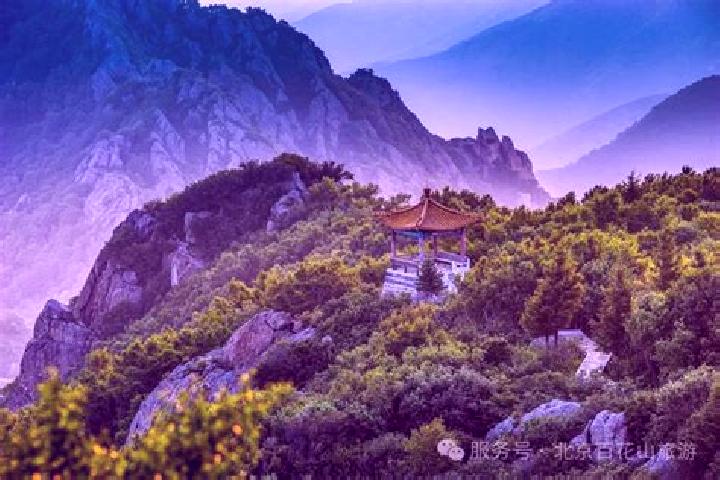 Penelope, 39 — Escort in Xiushui, China