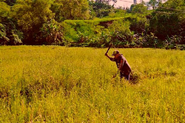 Piper, 20, a chestnut blue-eyed indian companion based in Sultan Kudarat. Offering Domination, Dinner Date, Travel Companion. Available for incall and outcal...