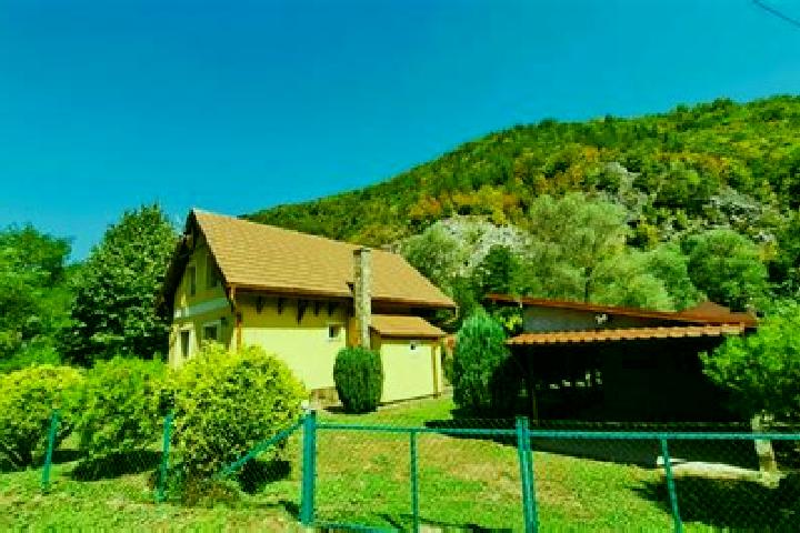 Piper, 20 — Escort in Bulz, Romania
