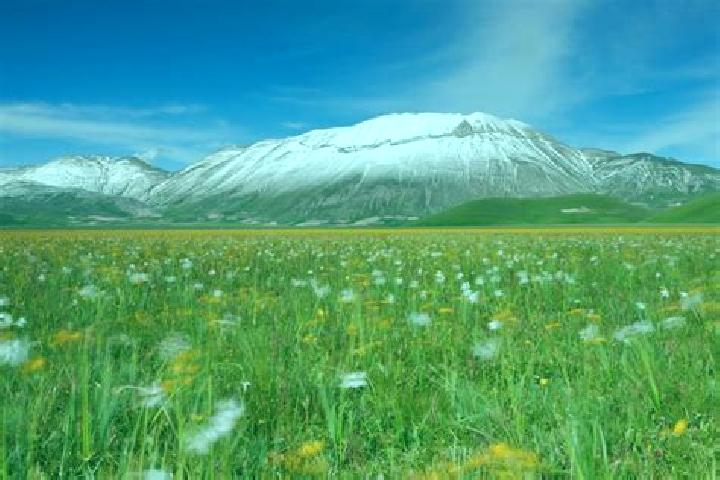 Piper, 20 — Escort in Castelluccio dei Sauri, Italy