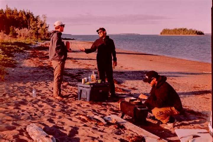Piper, 20 — Escort in Cow Bay, Canada