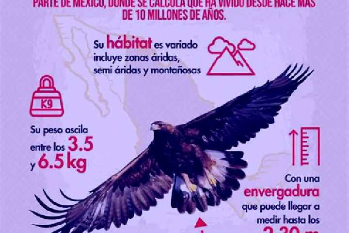 Piper, 20 — Escort in El Aguila, Mexico