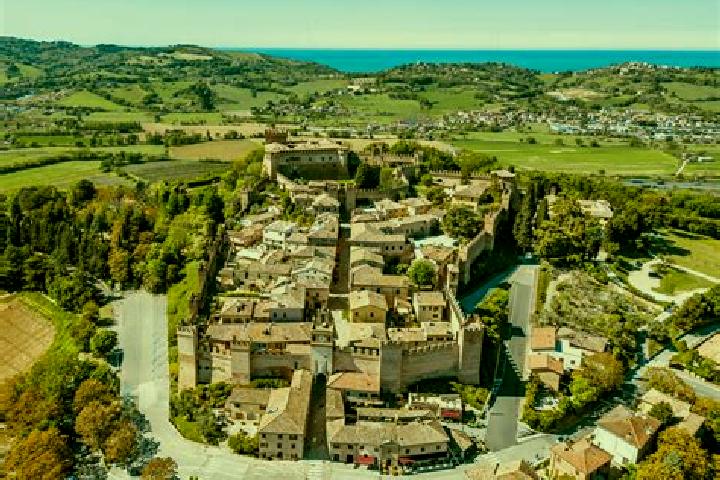 Piper, 20 — Escort in Gradara, Italy