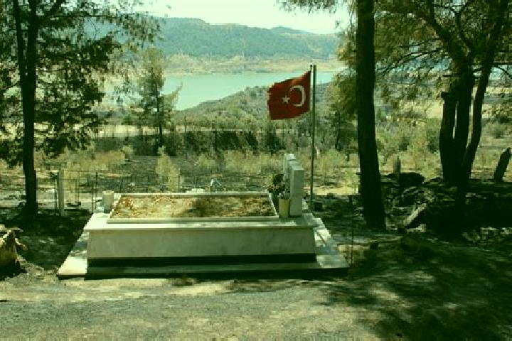 Piper, 20 — Escort in Karayakup, Turkey