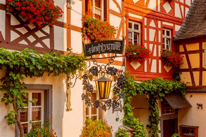 Piper, 20 — Escort in Koerbelitz, Germany