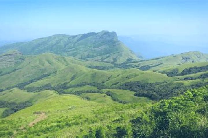 Piper, 20 — Escort in Kudremukh, India