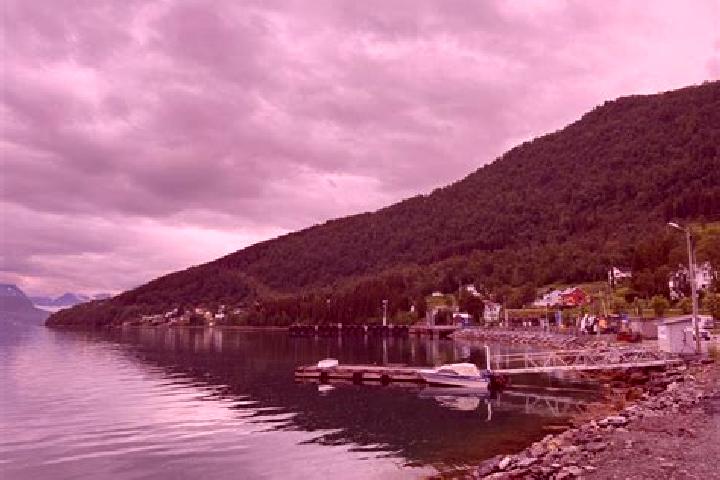 Piper, 20 — Escort in Lyngseidet, Norway