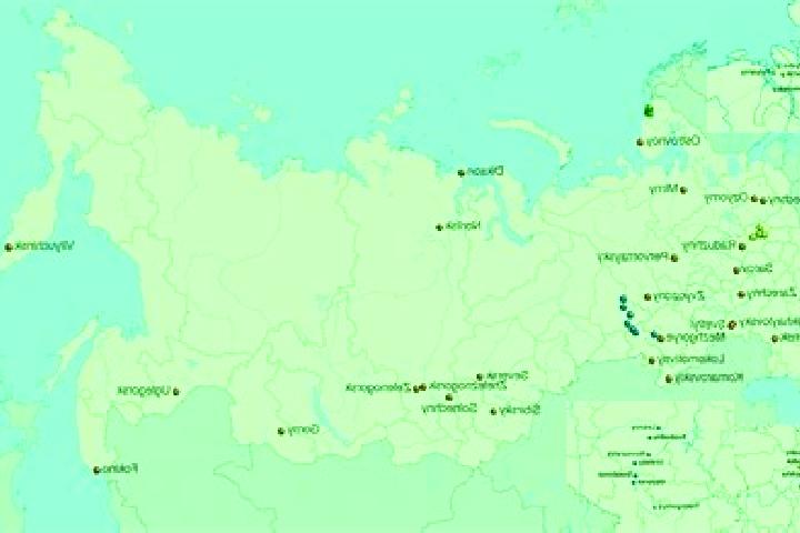 Piper, 20 — Escort in Miatli, Russia