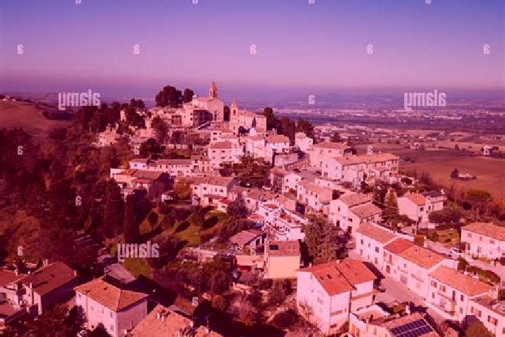 Piper, 20 — Escort in Montemaggiore al Metauro, Italy