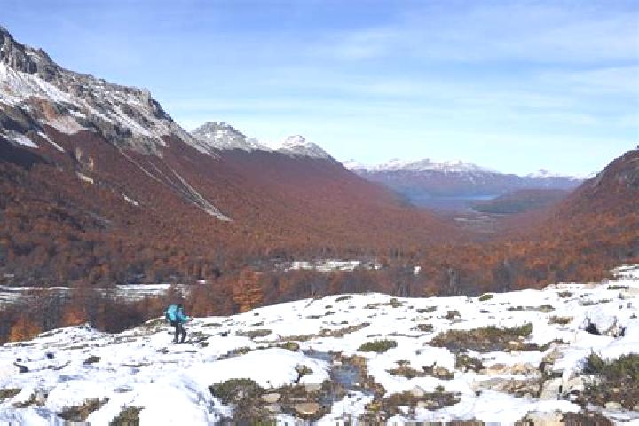 Piper, 20 — Escort in Palena, Chile