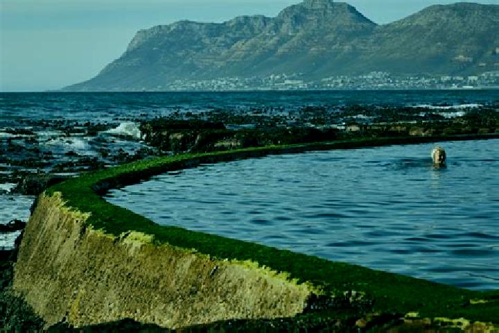 Piper, 20 — Escort in Pennington, South Africa