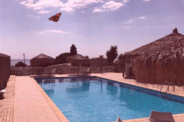 Piper, 20 — Escort in Petrochori, Greece