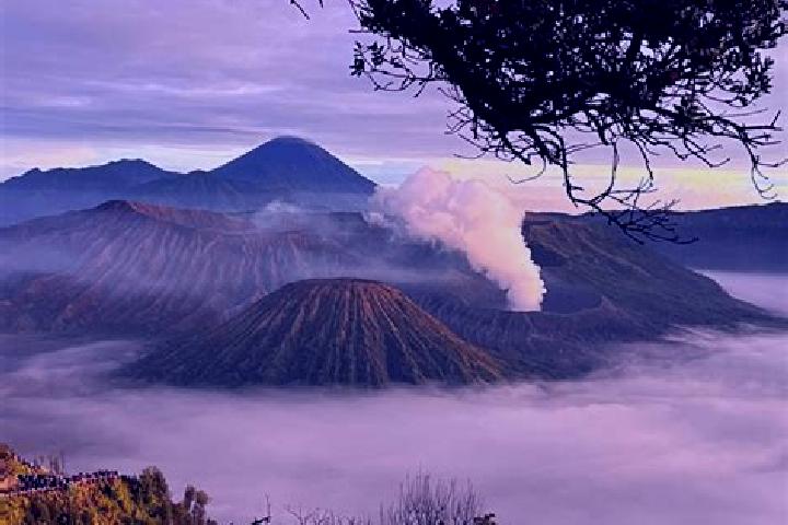 Piper, 20 — Escort in Poto, Indonesia