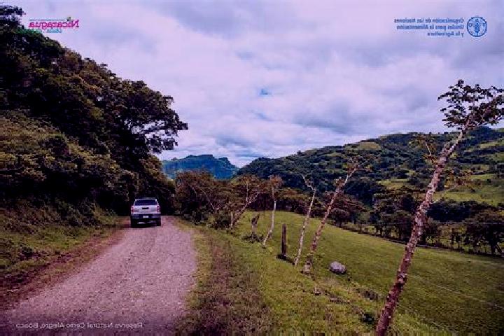 Piper, 20 — Escort in San Jose de los Remates, Nicaragua