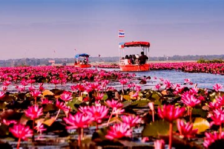 Piper, 20 — Escort in Sang Khom, Thailand