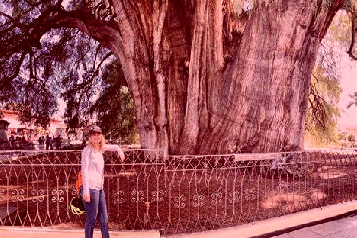 Piper, 20 — Escort in Santa Clara del Tule, Mexico