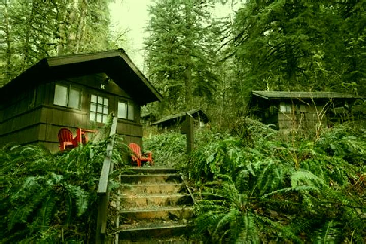Piper, 20 — Escort in Smith Creek, Canada