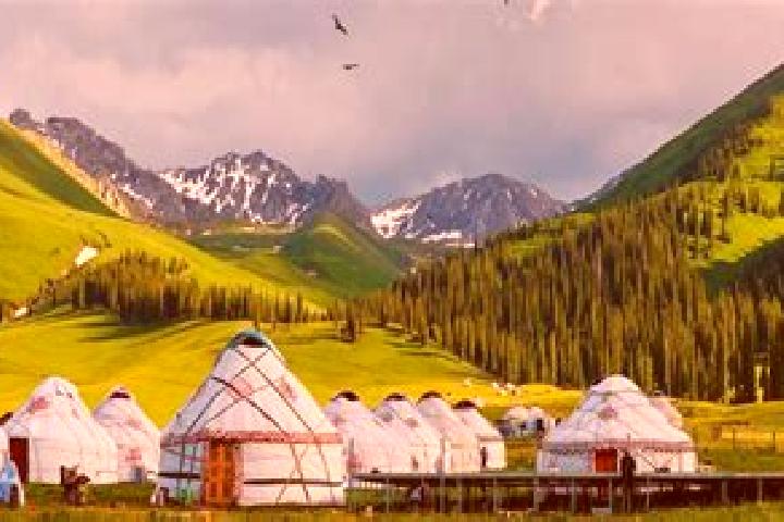 Piper, 20 — Escort in Tohom, Mongolia