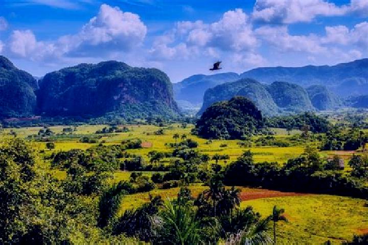 Piper, 20 — Escort in Vinales, Cuba