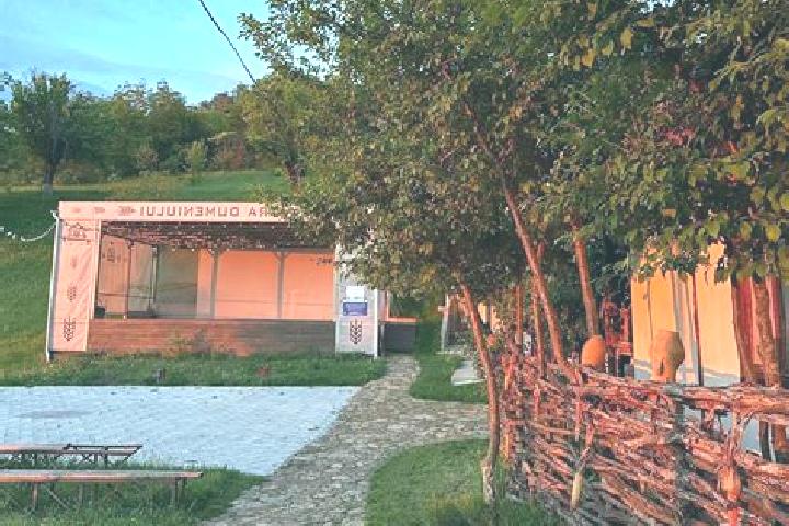 Piper, 20 — Escort in Vorniceni, Romania