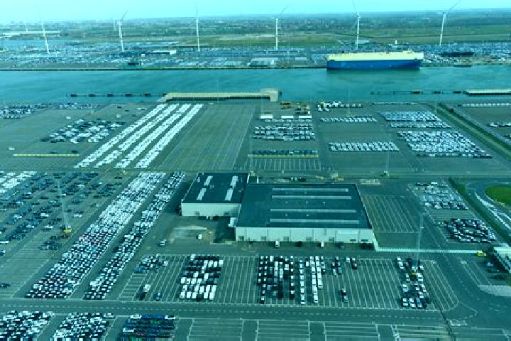 Piper, 20 — Escort in Zeebrugge, Belgium