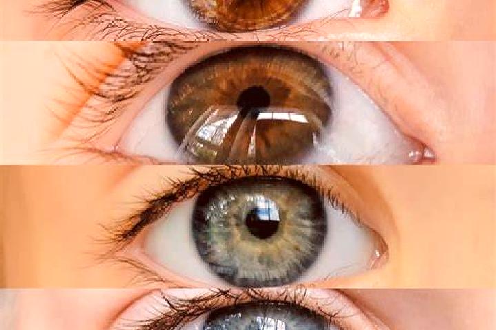 Piper, 21, a chestnut grey-eyed middle eastern companion based in Villafranca d Asti. Offering CIM, Roleplay, Fetish. Available for incall and outcall, day a...